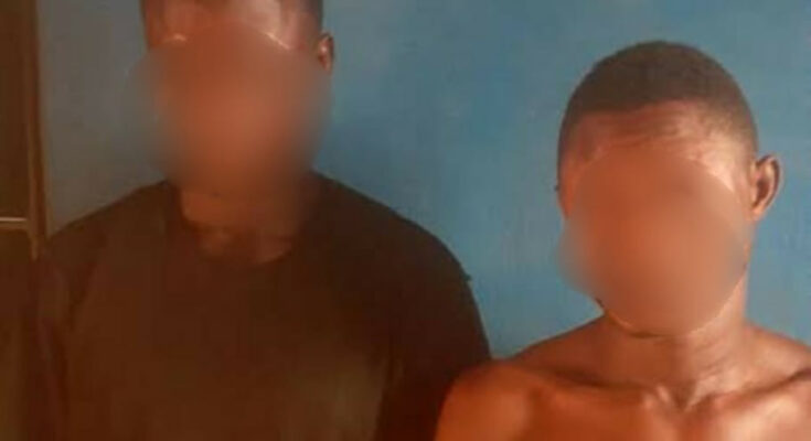 Man Pays Friend N10,000 To Kill Pregnant Wife In Ogun