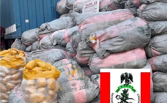 NDLEA busts another Tramadol cartel, seizes over N5bn Opioids in warehouse