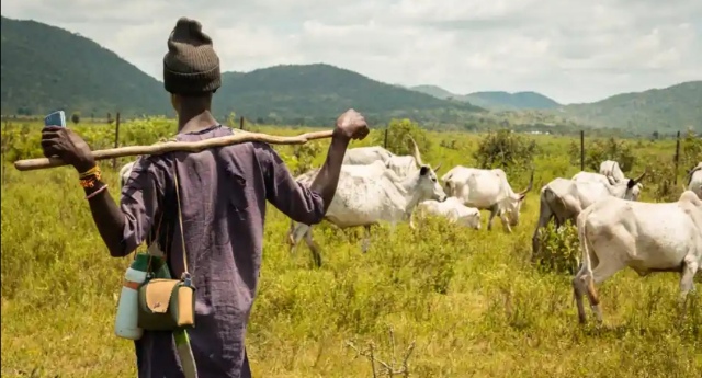 Headsmen Kill Soldier, 24 Others In Taraba