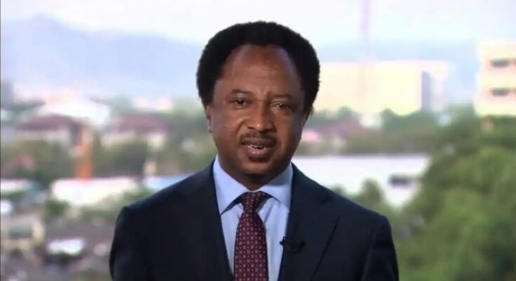 "Minister of State Invented To "Settle" People With Ministerial Appointments" – Shehu Sani