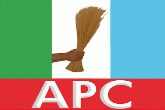 APC Chair: Party to hold NEC meeting next week, ratify Ganduje