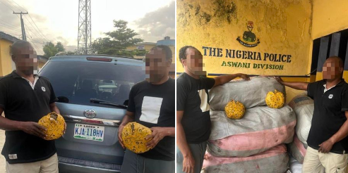 Two Arrested As Police Intercepts N13m Worth Of Illicit Drugs In Lagos