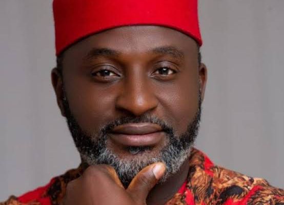 'I will appeal the judgement', Abia LP Reps member, Ogah, rejects Tribunal verdict 