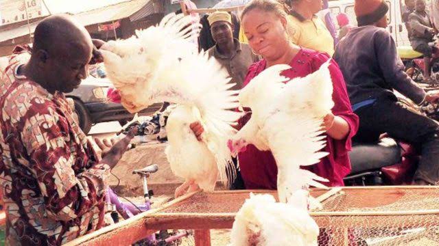 PEOPLE BUYING CHICKENS