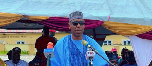 Lack of funds affecting distribution of food, other items to IDPs — Gov Zulum