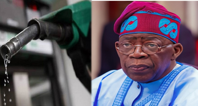 Tinubu Stopped Fuel Subsidy Without Considering The Consequences – Bugaje