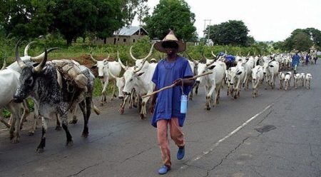 We’re Working On Solution To End Open Grazing In FCT – FCT Minister, Wike