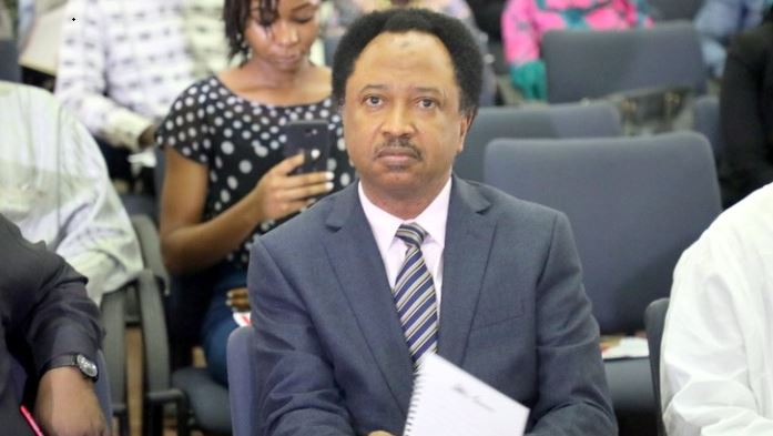 'You Were Father Of Protest, Pardon Imprisoned EndSARS Demonstrators' — Shehu Sani To Tinubu