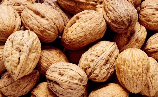 African walnuts improve semen quality in men who smoke — Study