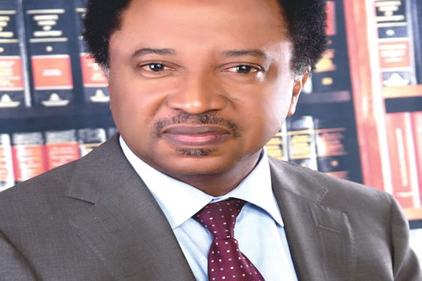 Northern leaders have failed to use power to improve lives of their people —Shehu Sani