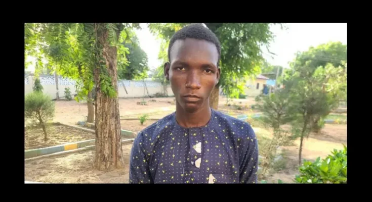 Yobe Police Apprehend Suspect For Abducting, Impregnating 20 Years Old