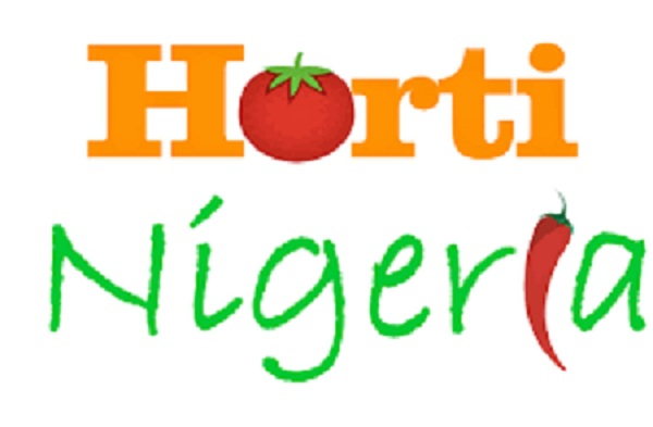 HortiNigeria holds workshop in Oyo for youths in agribusiness