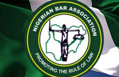 NBA condemns looting of public facilities in Dutse