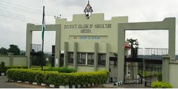 Oyo College of agric to train women farmers in agricultural technical education