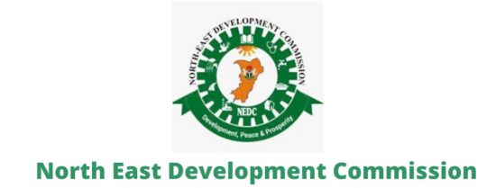 NEDC promises immediate intervention in Yobe