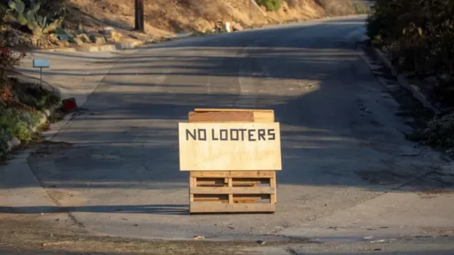 LA wildfires: Police arrest 20 looters dressed as firefighters