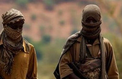 Lakurawa terrorists kill telecommunication officials in Kebbi