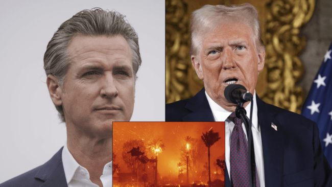 Los Angeles fires: Trump blames California gov,