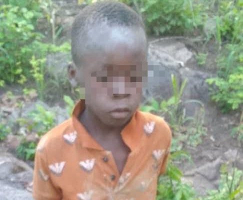 Missing eight-year-old boy survives five days in Lion-inhabited game park