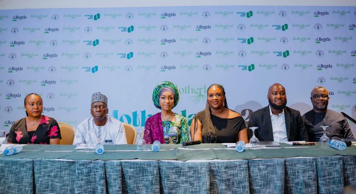 Nigeria set to develop Diaspora City, attract foreign investors —Musawa