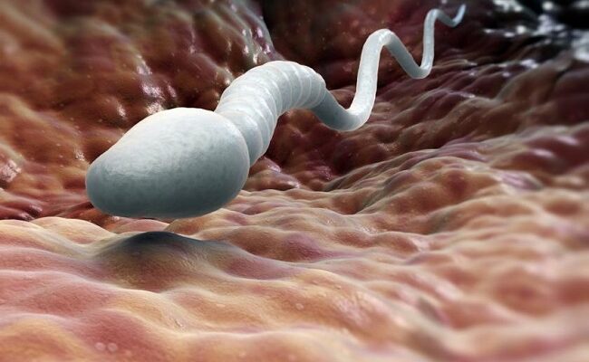 6 things you are doing that are lowering your sperm count