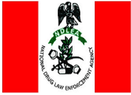 NDLEA Captures Drug Lord, Declares Brother Wanted