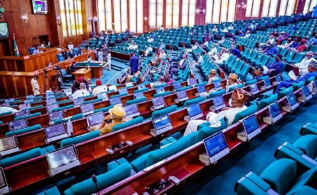 Reps committee rejects foreign affairs' 2023 budget presentation over alleged infractions