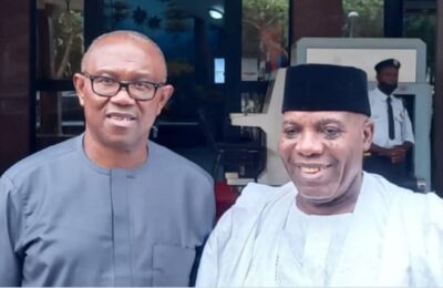 2023: Okupe's Conviction Won't Affect My Presidential Bid - Peter Obi Assures