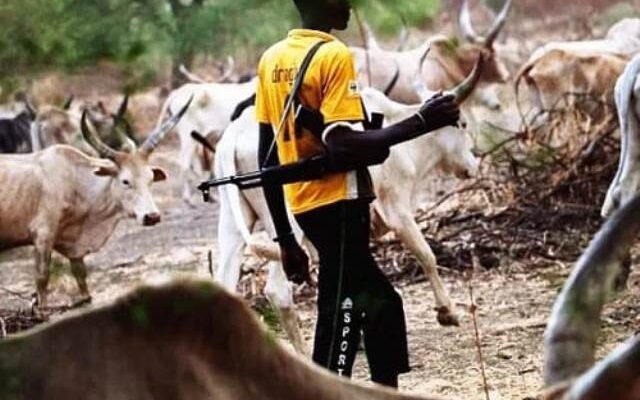 8 Killed, 47 Houses Burnt As Herders, Farmers Clash In Borno