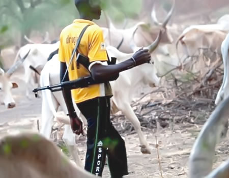 Suspected herders kill five, herdsmen, herders invade Akala's farm, suspected herders kill 11 , herders attack Enugu commuities, herders kill three in Benue, Tension as herdsmen invade Edo community, herdsmen attack Taraba community, Suspected herdsmen invade farms, Ogoni Elders cry out, Suspected herdsmen kill man, Herdsmen allegedly abduct four, Suspected herdsmen kill five, Suspected herdmen kill three, Suspected herdsmen kill four , Four killed, Kogi Miyetti Allah chairman, Over 50 armed herdsmen, Suspected herdsmen machete , Miyetti Allah tells members, Suspected herdsmen hack two, Herdsmen storm forest reserve, Herdsmen attacks, herdsmen, Suspected herdsmen