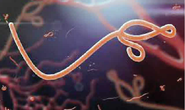 FCTA Issues Red Alert On Ebola, Other Communicable Diseases