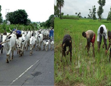 Herders, Farmers, FADAMA