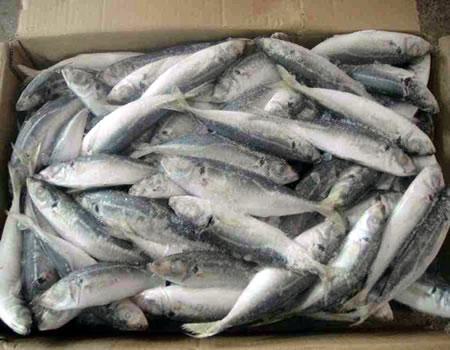 FG inaugurates fish processing centre in Akwa-Ibom, Stakeholders advocate total ban on fish importation
