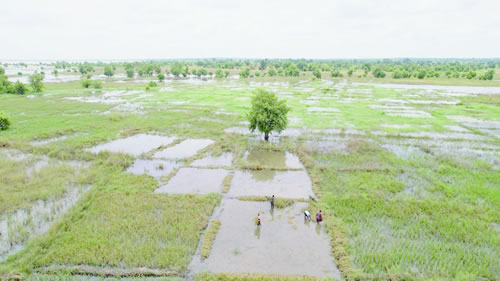 farmers Flooding