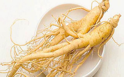 Thai ginseng intake reduces potbelly