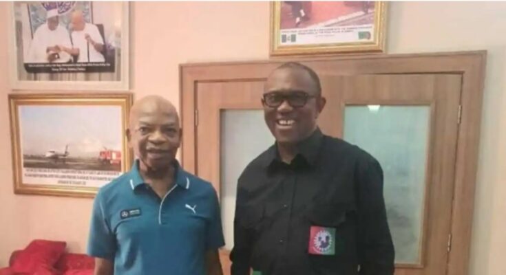 I Told Peter Obi To Withdraw From Presidential Race, He Can't Win – Arthur Eze