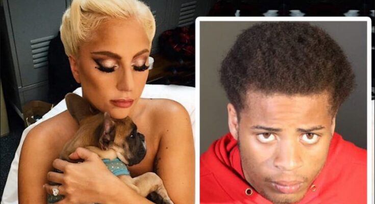 Man Bags 21 Years Jail Term For Stealing Lady Gaga's Dogs, Shooting Dog's Walker