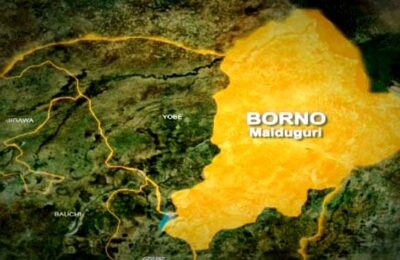NAF Kills Two Terror Kingpins, Over 100 Others In Borno