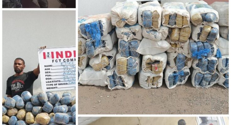 NDLEA intercepts Colorado, cannabis juice in Lagos airport, seaport