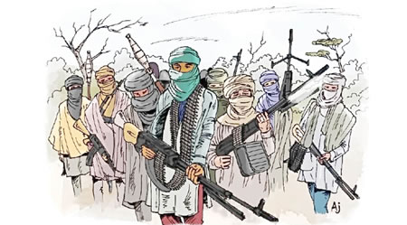 Boko-haram terrorists kidnap Taraba,banditry