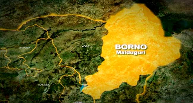 Pregnant woman killed during attempt to kidnap husband, others in Borno village