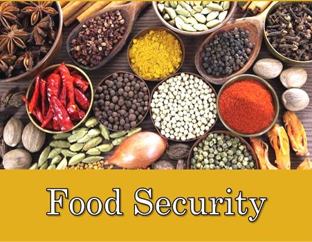 food security