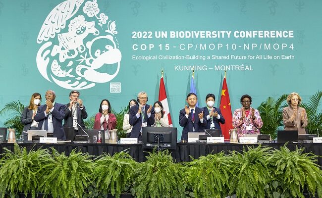 Reactions as world reaches agreement to protect, conserve 30% of land, oceans by 2030