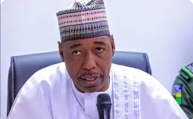 Borno Declares Eight-Day Holiday For Schools Ahead Of Elections