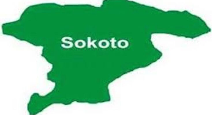 Domestic election monitors allege plot to rig election in Sokoto