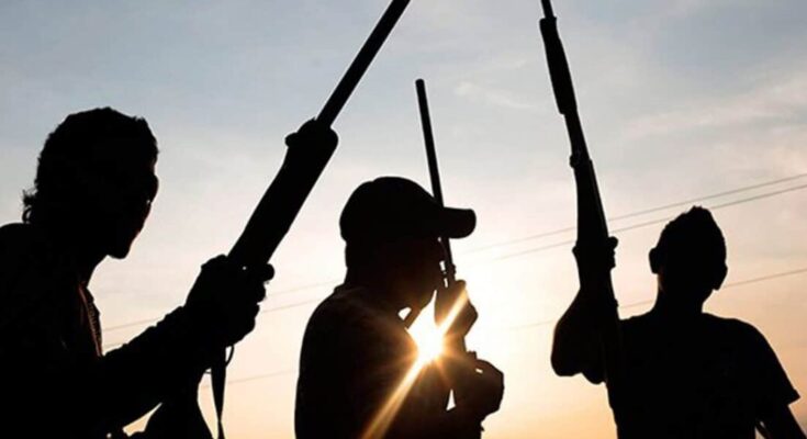 JUST IN: Unknown gunmen kill DPO in Benue