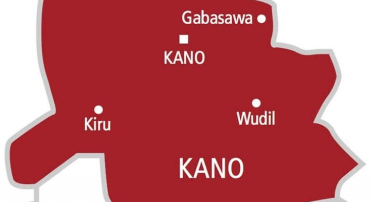 Kano Govt. Discovers 130 Hospitals, Pharmacy Run By SSCE Holders