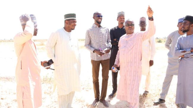 NALDA establishes 100 hectares farm, poultry feed mill in Sokoto