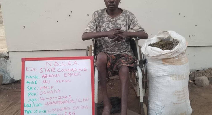 NDLEA Nabs Notorious Physically Challenged Drug Dealer, Seizes 6.2kgs Cannabis