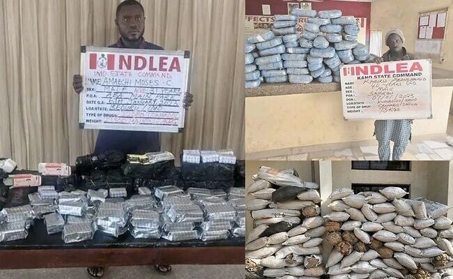 NDLEA intercepts drug consignments, seizes 3,975kgs skunk, 58,200 tramadol pills in raids of four states
